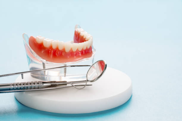 Professional  Holistic Dental Services in Sanford, CO
